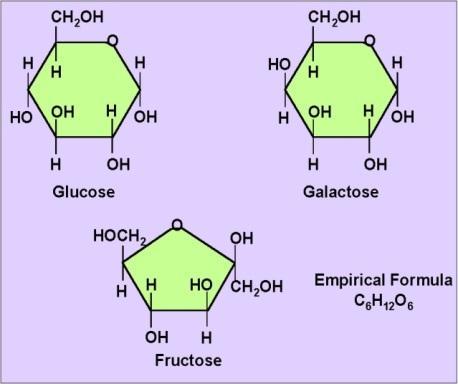 3. C is for Carbohydrates Organic compounds from plants,