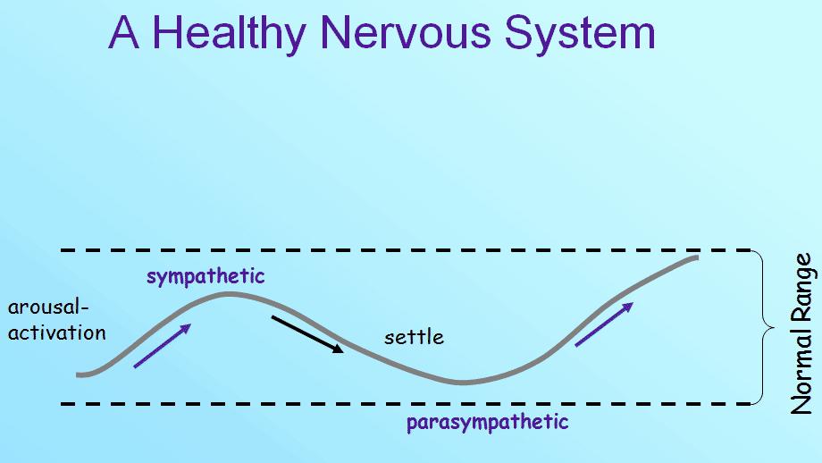 Maps for Recovery from Shock and Early Trauma When in a state of health, each of our nervous systems has the capacity to self-regulate in response
