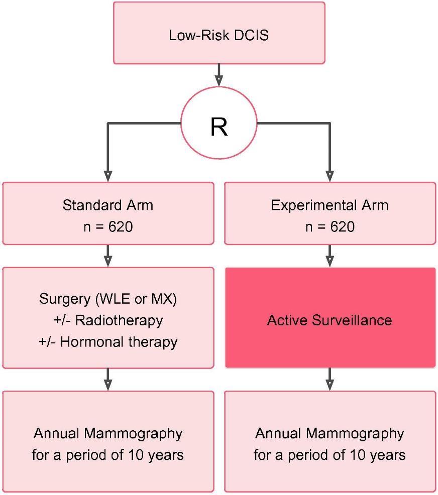 Phase III, non-inferiority trial to assess the safety of active surveillance for low risk DCIS The LORD study 1240 women aged > 45 years with asymptomatic screen-detected pure low-grade DCIS