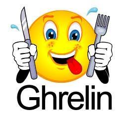 Associations of ghrelin with eating behaviors, stress, metabolic factors, and telomere length