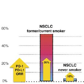 Clinical Selection Factors for Immunotherapy Efficacy in NSCLC Smoking Status Histology Performance Status (PS) Efficacy by Smoking Status Champiat et al: OncoImmunology 2014 CheckMate 057: OS in