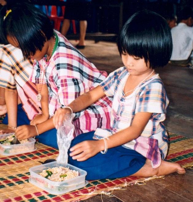Fortification of seasoning powder in Thailand: RCT Fortified with or without Zn (5 mg), Fe (5 mg), vit A (270 ug), & I (50 ug) Mixed in school lunch to 580 children from 10 schools for 31 wks
