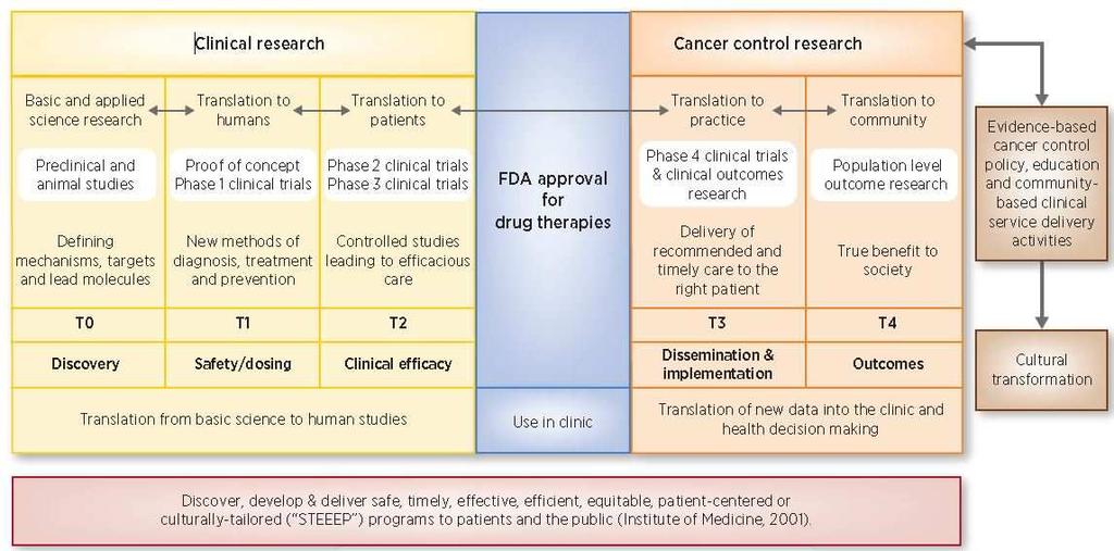 Translational Research Phases Resulting in Evidence-Based Clinical & Public Health Actions to Drive Impactful Cancer Control (Based