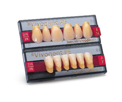 Tooth Line Portfolio Premium High performance and esthetics BlueLine DCL PhysioSet TCR SR Vivodent PE SR Vivodent S PE Ivoclar Vivadent denture teeth have always been known for superior esthetics.