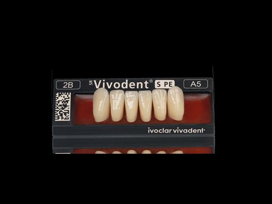 The variety provides a balanced range of tooth moulds to suit different types. The particular esthetic appearance is achieved by the multilayer process, life-like layering, and natural surface relief.