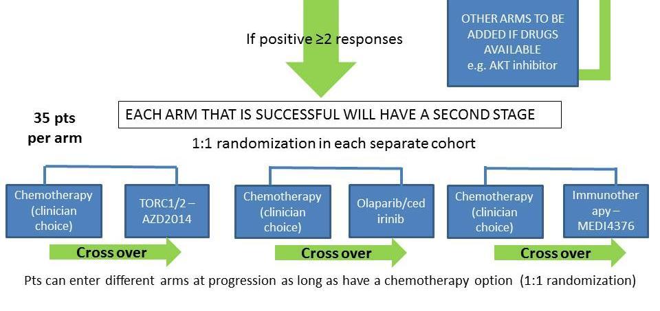 chemotherapy at recurrence in