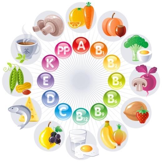 Micronutrients Micronutrients (meaning small amount) provide the foundation for our metabolic and physiological functions within the body.