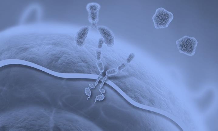 Cabiralizumab (FPA008) Antibody