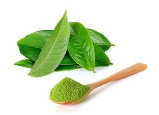 Green tea extract Main important green tea polyphenol is epigallocatechin-3-gallate