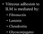 Pharmacologic vitreolysis using microplasmin has demonstrated potential to induce PVD Rapid diffusion of drugs It