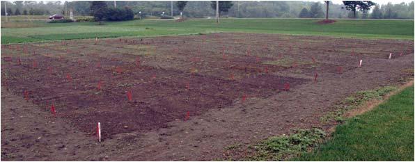 Scotts The objective of this research is to evaluate and compare plots established with various turf seed mixtures in a low input non-irrigated trial and in a trial with typical proper home lawn