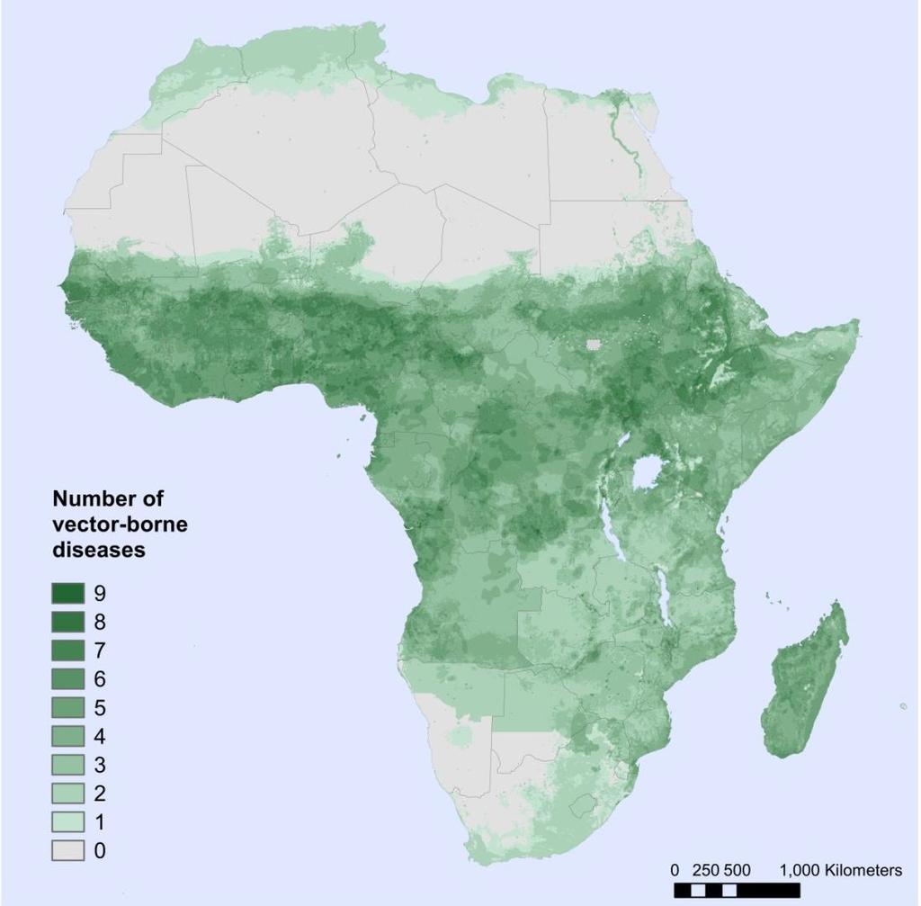 Insect-borne diseases a major cause of ill health and death in Africa Combined global distribution of falciparum and vivax malaria, lymphatic