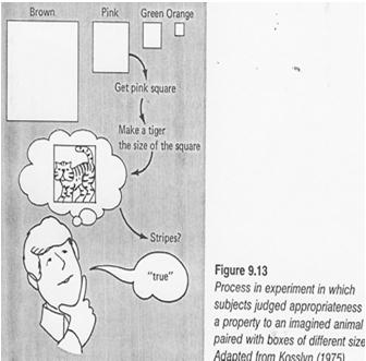 Image Generation & Property Studies (Kosslyn, 1975) Do generated images have percept-like properties?