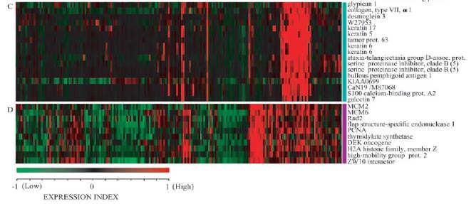 Analysis of the Response Genetics (RGI) Database N=587 324 NSCLC: 141 adenoca, 183 squamous [SCCA] TS relative mrna levels 4 3 2 1 P<01 P<01 P=9 Tumor NSCLC- Total NSCLC- Adenoca