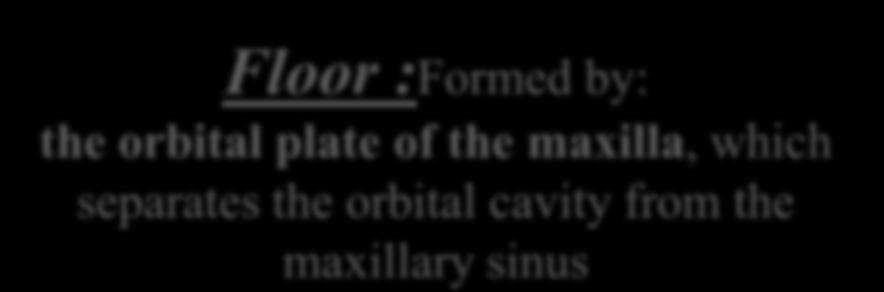cavity from the ethmoid sinuses) The body of the sphenoid Floor :Formed by: the