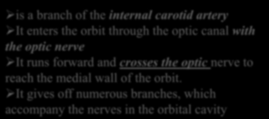 It gives off numerous branches, which accompany the nerves in the orbital cavity Branches of the