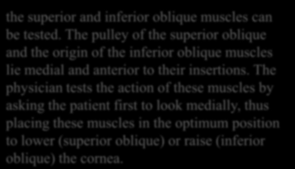 The physician tests the action of these muscles by asking the patient first to look medially, thus placing these muscles in the optimum position to