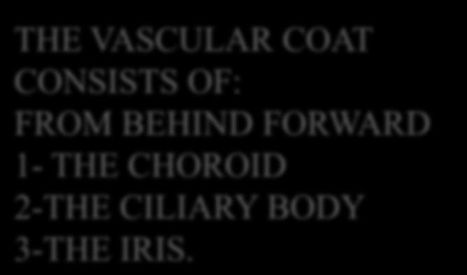 2-MIDDLE VASCULAR COAT THE VASCULAR COAT CONSISTS OF: FROM BEHIND FORWARD 1-