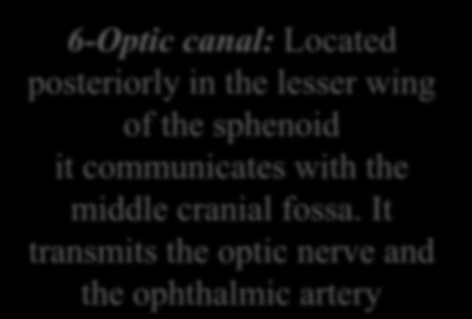 It transmits the lacrimal nerve the frontal nerve the trochlear nerve the oculomotor nerve (upper and lower divisions) the