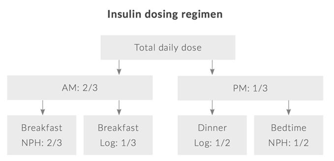 Insulin dose adjustment Adjust weekly No evidence to support an optimal