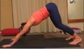 Downward Dog (Modified) Begin in a standing position. Squat down to the floor and place your hands on the ground 2-3 feet in front of your toes.