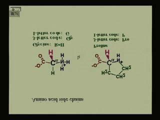 The Glycine is the simplest amino acid because the R group is just a hydrogen atom.