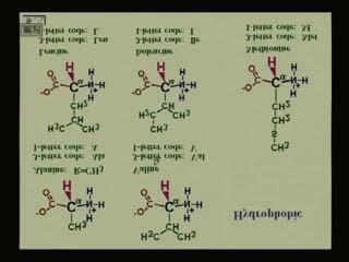 (Refer Slide Time 15:30 min) Then we come to Valine. The Valine is a β-branched amino acid. Its side chain is -CH(CH 3 ) 2. The next one we have is Leucine in which the R-group is -CH 2 -CH(CH 3 ) 2.