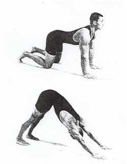 Alternative ( for Rite #5) Exercise #5 Begin in the table position. Curl your toes under And bend your hips raising your buttocks so that Your body forms an inverted "V".
