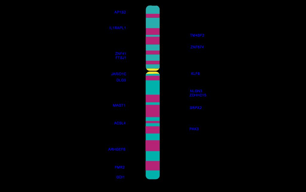 ILLUSTRATION OF THE X-CHROMOSOME KEY *: syndromic and non-syndromic genes Blue font: non-syndromic genes Black font: syndromic