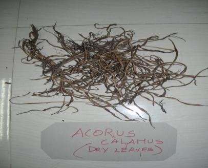 The following are the objectives of this study To find out the availability of natural sources To optimize the parameters for finishing To treat the cotton fabric using Acorus Calamus extracts.
