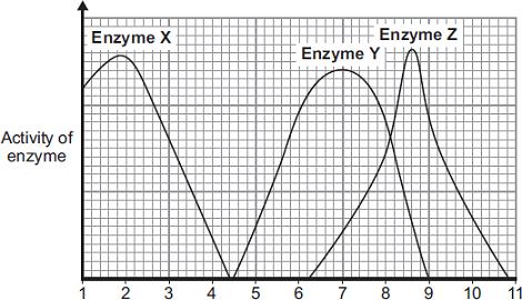 6. Enzymes 1. What are enzymes? How do they work? (3 marks) 2. What is the optimum temperature or ph of an enzyme? (1 mark) 3. What does the term denaturing mean?
