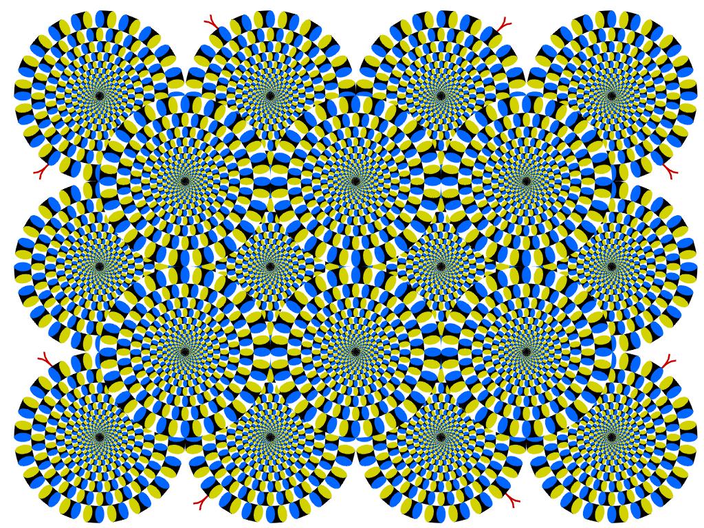 These circles are not moving, your brain is making them