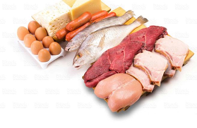 Protein Meat and meat substitutes, such as soy products and cheese, are great sources of protein. A balanced meal plan usually has about 2 to 5 ounces of meat.