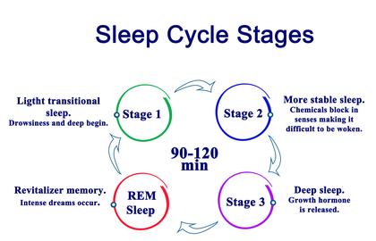 REM SLEEP A kind of sleep that occurs at intervals during the night and is characterized by rapid eye movements, more