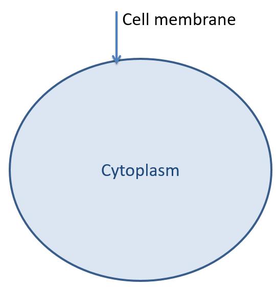 All cells have cell membranes. The membrane separates the inside environment of the cell from the outside.