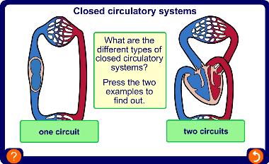 One and two circuits 5