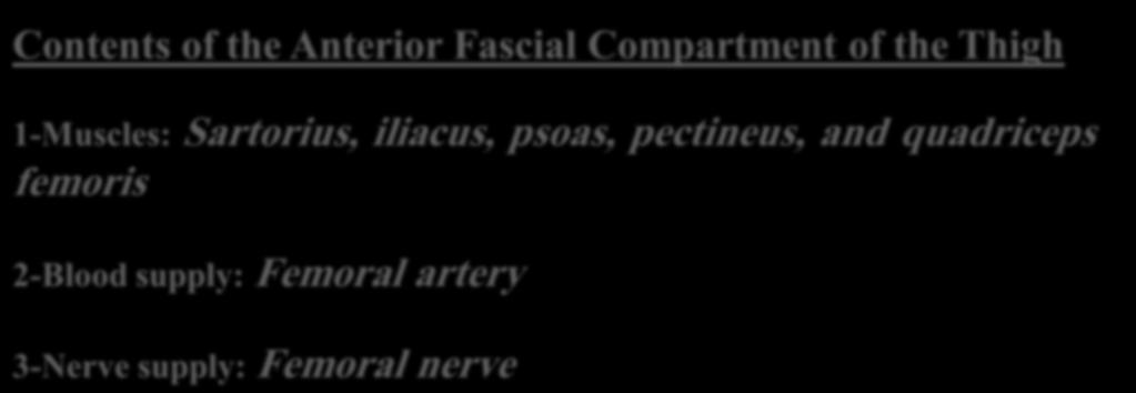 Contents of the Anterior Fascial Compartment of the Thigh 1-Muscles: Sartorius, iliacus,