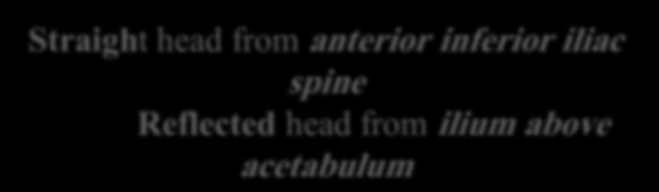 inferior iliac spine Reflected head from ilium above