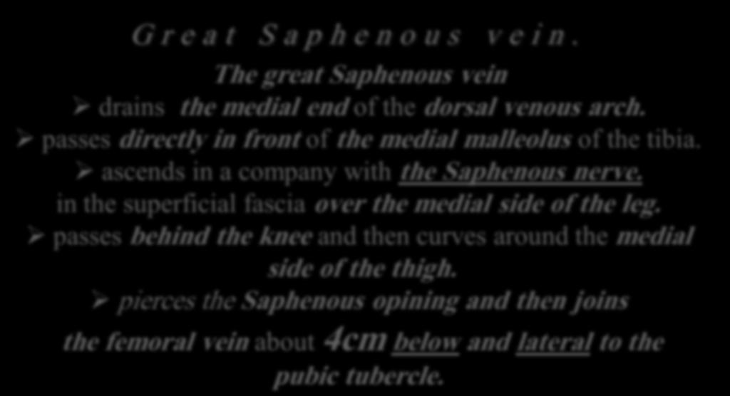 The great Saphenous vein drains the medial end of the dorsal venous arch.