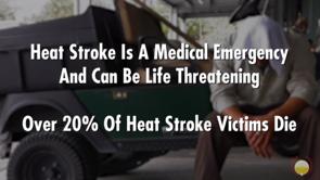 The steps you should take to handle a victim with heat stress vary by the type of illness.