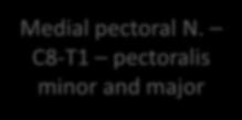 C8-T1 pectoralis minor and major Long thoracic N.