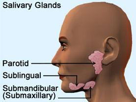 Nerve supple of palate is from: soft palate: greater & lesser palatine nerve of the maxillary nerve.