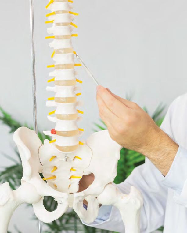 Spine Nearly 10 million people in the UK suffer daily back pain that impacts their normal activities.