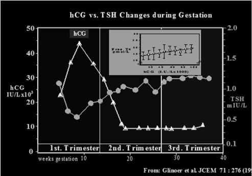 10-20% women have reduced TSH with HCG peak 28 yo female at 10 weeks gestation has a