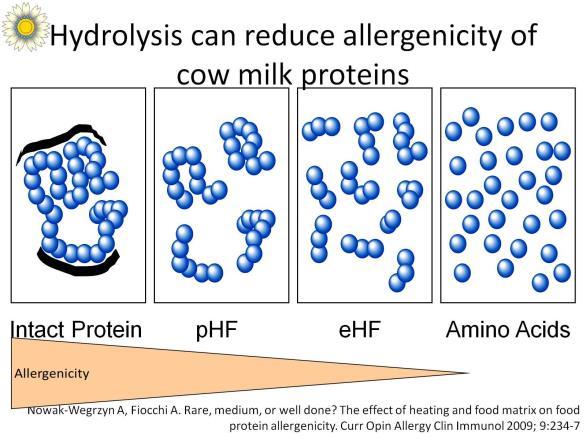 Hydrolysate Formulas in Allergy Risk Reduction If exclusive breastfeeding is not possible in