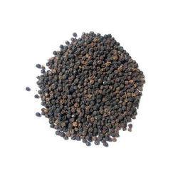 Black Pepper VK- P+, rajasic Destroys ama, restores agni: powerful