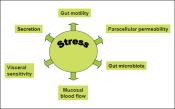 of pain and affect the movement of food in the GI tract Stress affect physiological function but also lowers