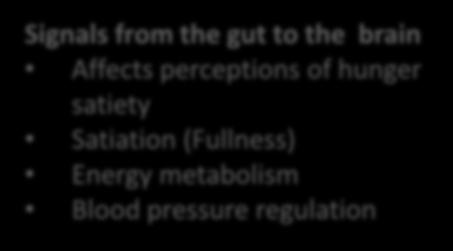 (Fullness) Energy metabolism Blood