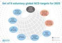 Accountability Global NCD