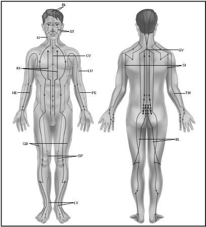 If there is a blockage along the meridian, or if there is an excess of Chi, an imbalance occurs that affects the organ and manifests as a specific symptom.